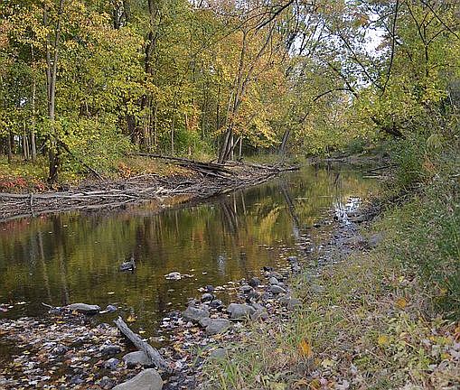 Access to Creek