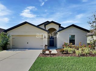 932 Wynnmere Walk Ave, Ruskin, FL 33570
