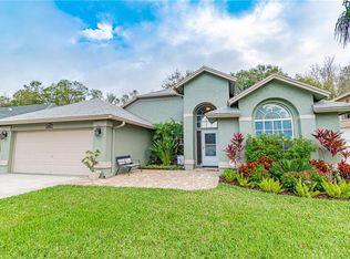 13507 Ironton Dr, Tampa, FL 33626