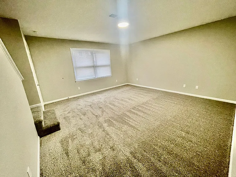 260 Kelly St — Photo 4