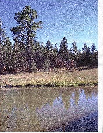 1st image of 2064 S Lone Cone Rd