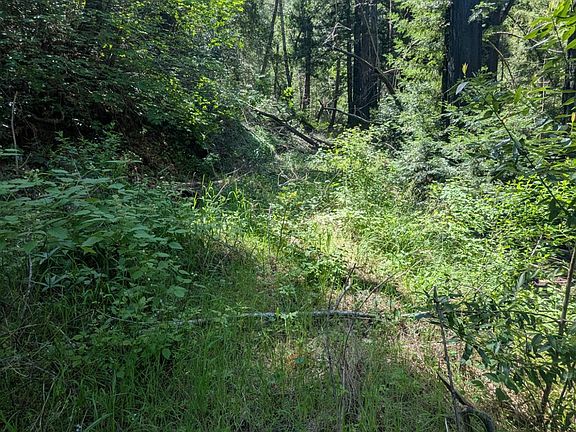 4th image of 0 Skaggs Springs Road