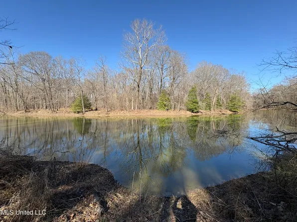 Malmaison Rd, Holcomb, MS 38940