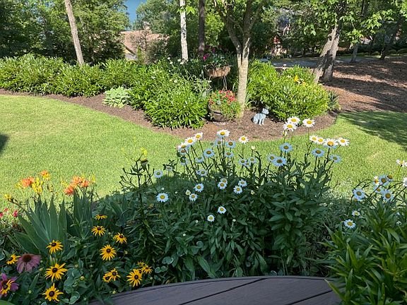 5th image of 511 Palmer Way