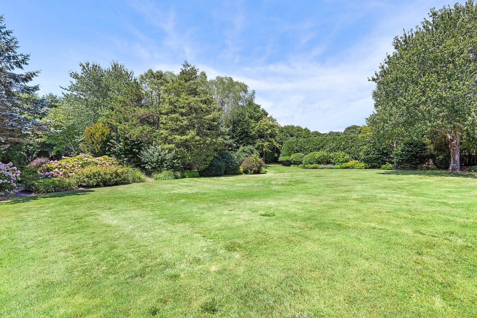 Additional View of Sprawling Backyard