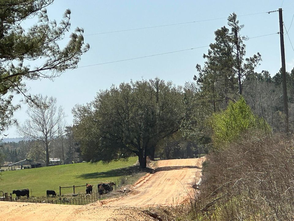 2nd image of TRACT 6410 Davidson Rd
