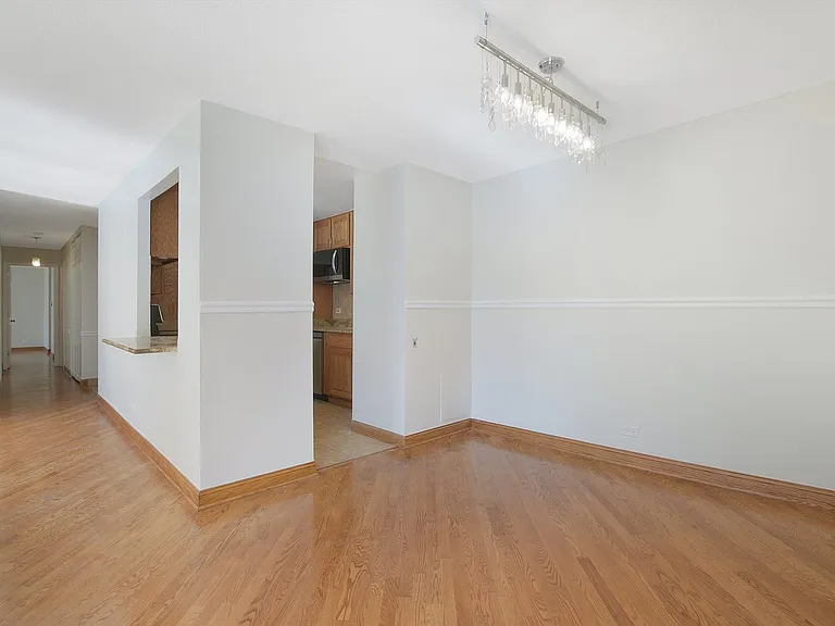 1169 S Plymouth Ct #301 — Photo 5