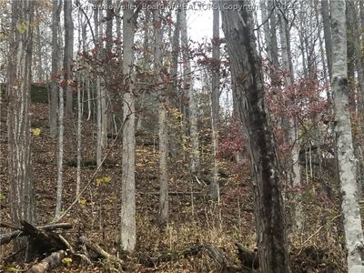 0 Wilsie Rd, Frametown, WV, 26623