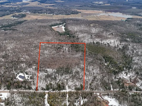 0 Stoney Rd, Armour, ON P0A 1C0