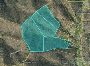 99999 Lower Bailey Branch Rd, Mars Hill, NC 28754