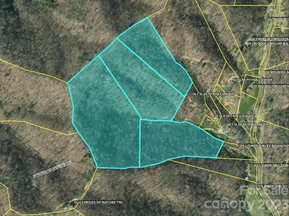99999 Lower Bailey Branch Rd, Mars Hill, NC 28754