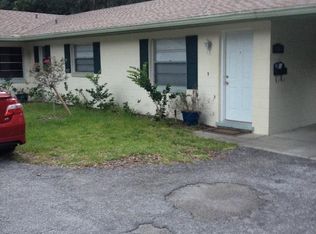 1143 E 9th Ave, Mount Dora, FL 32757