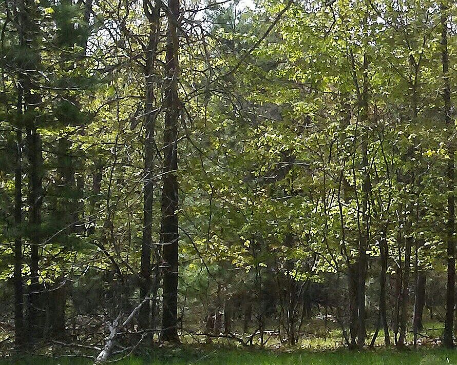 2nd image of 6220 Westridge 21.25 Dr