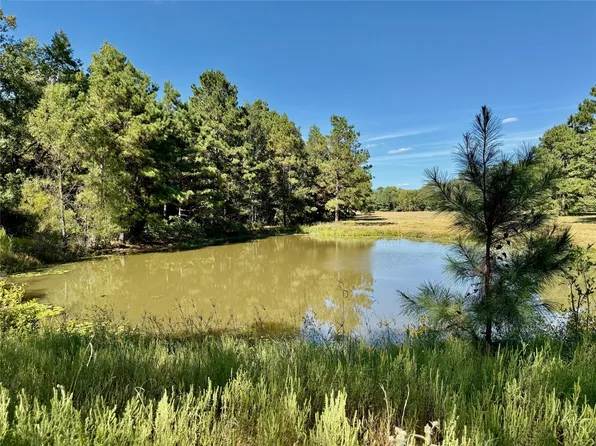 County Road 4025, Lovelady, TX 75851