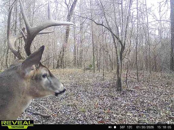 3rd image of 0 Big Bend Rd