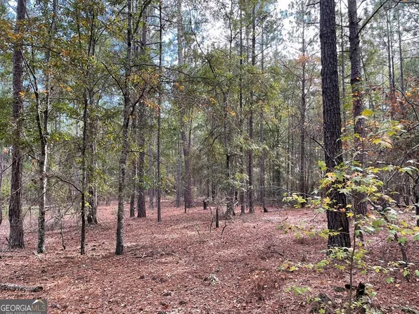 0 Powers Road, Eastman, GA 31023