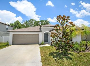 13419 Willow Bluestar Loop, Riverview, FL 33579