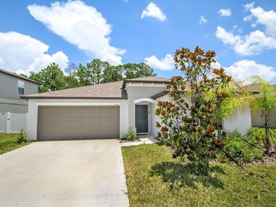 13419 Willow Bluestar Loop, Riverview, FL, 33579