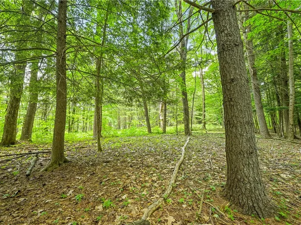 139 Deer Path #13, Stamford, NY 12167