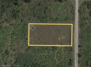 1326 S Davidson Rd, Avon Park, FL 33825