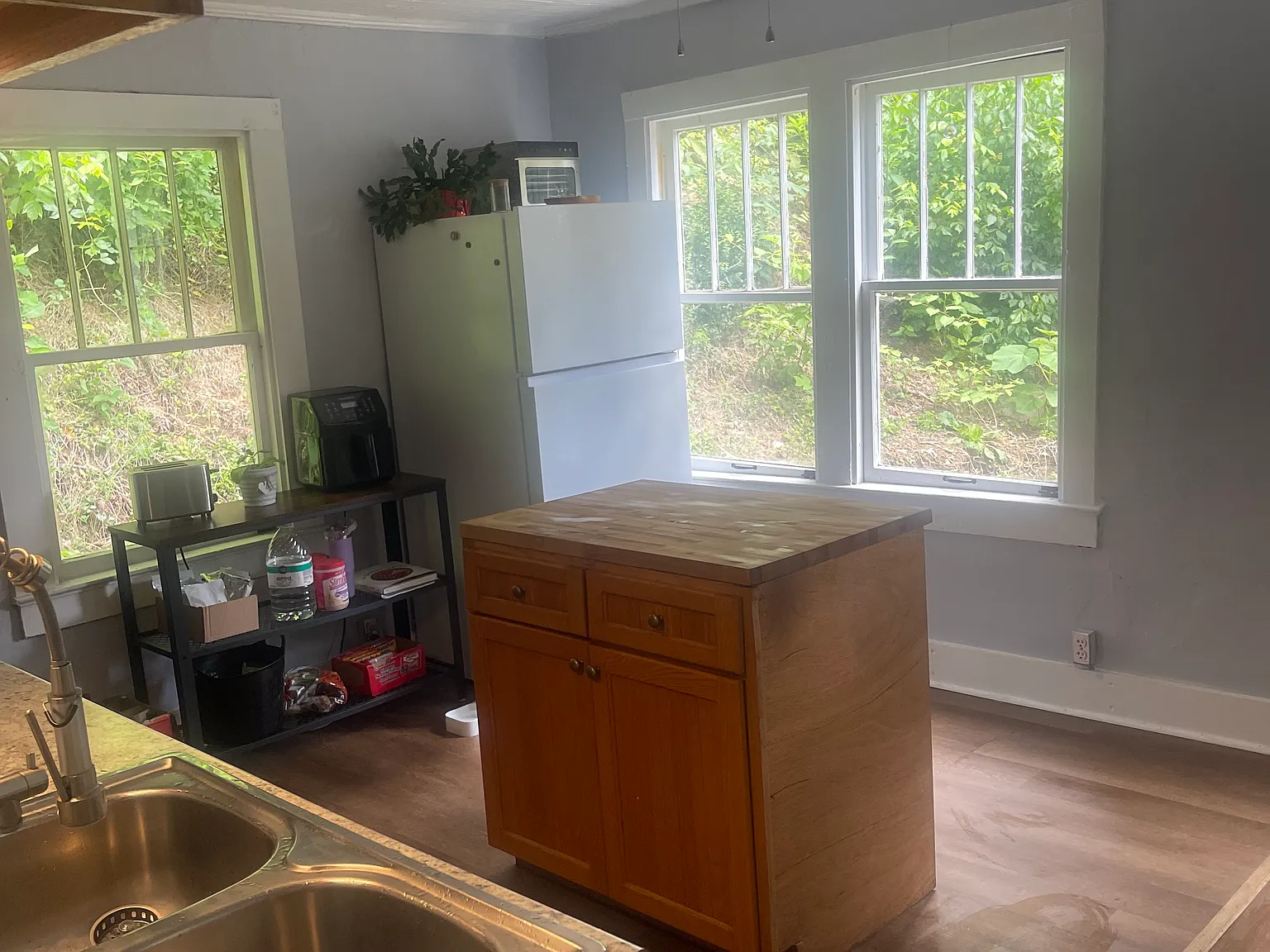 Charming 3BR House Minutes from Downtown Marshall Mountain Views & Privacy — Photo 4