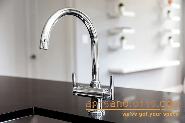 Rented by aptsandlofts.com | media 28