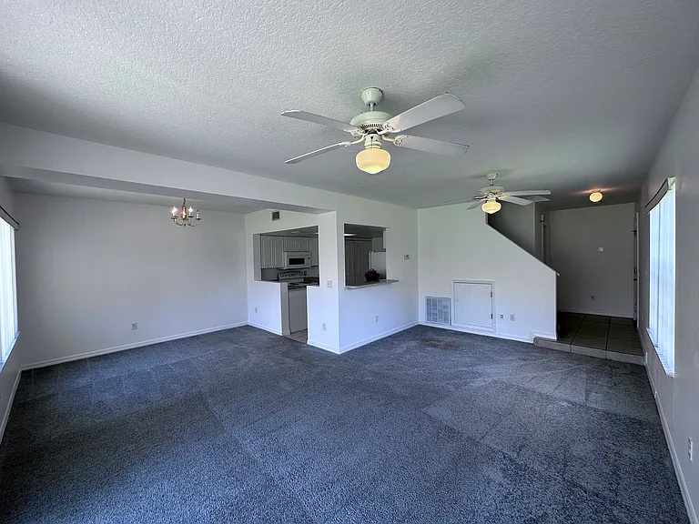 307 Coconut Palm Way — Photo 5