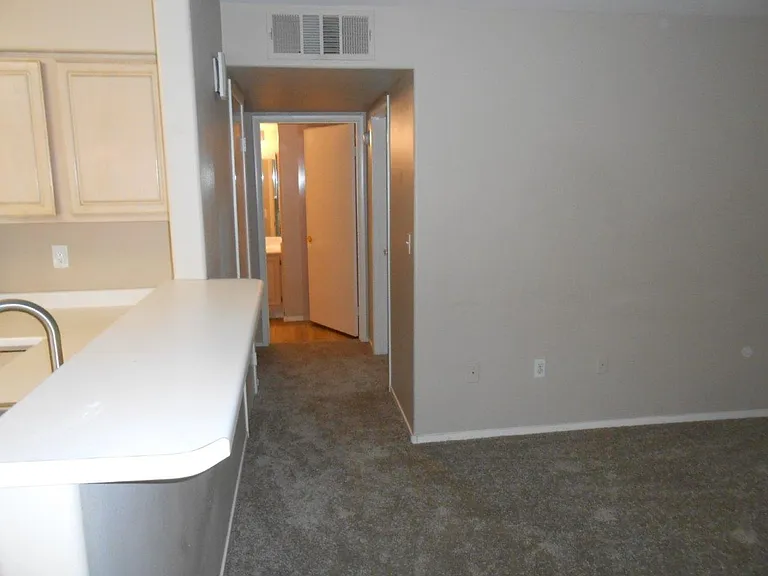 5710 E Tropicana Ave #1217 — Photo 14