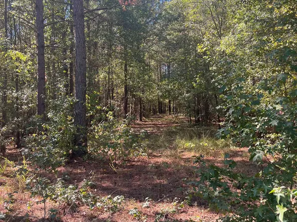 Xx Tract Castle #11, Amity, AR 71921