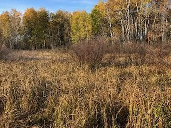 35618 560th St, Palisade, MN 56469