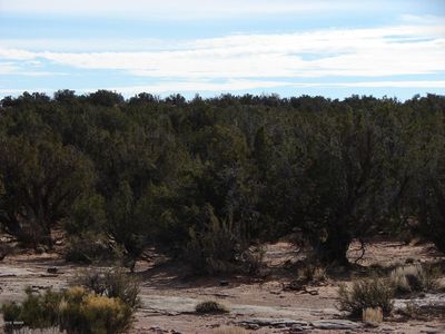 4038 Valley Rd, Snowflake, AZ, 85937