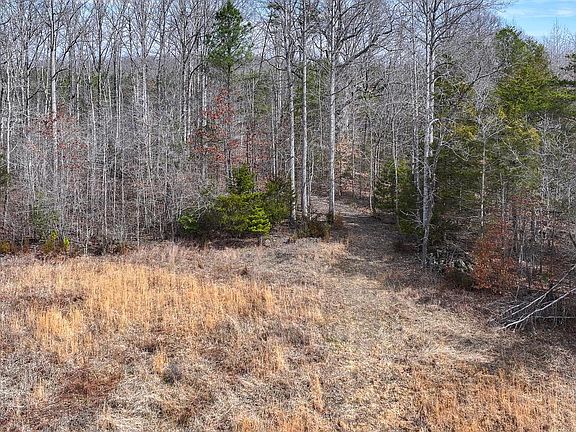5th image of 28.13 Acres Cross Country Rd