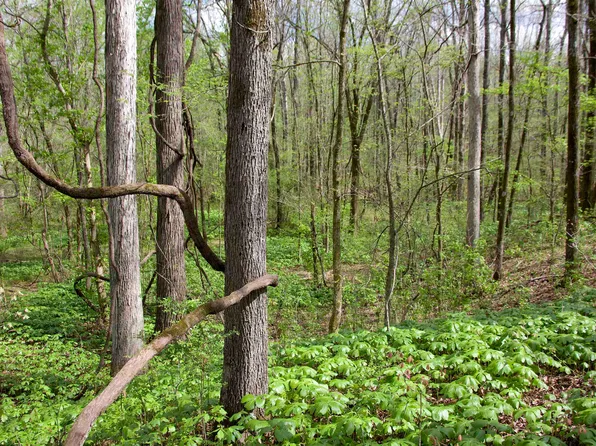 2787 Bryan Rd, Michigan City, MS 38647