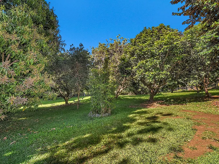 Tropical 3 Bedroom Retreat on Coffee Farm in Kealakekua — Photo 3