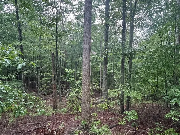 90 Adirondack Trl #88, Nebo, NC 28761