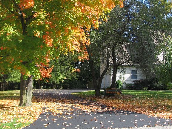 Driveway - Paved October 2008