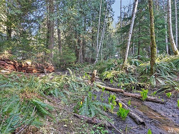 Double lot gives you lots of privacy!