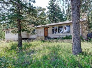 25678 Snyder Ave, Conifer, CO 80433