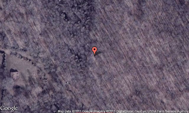 Map View