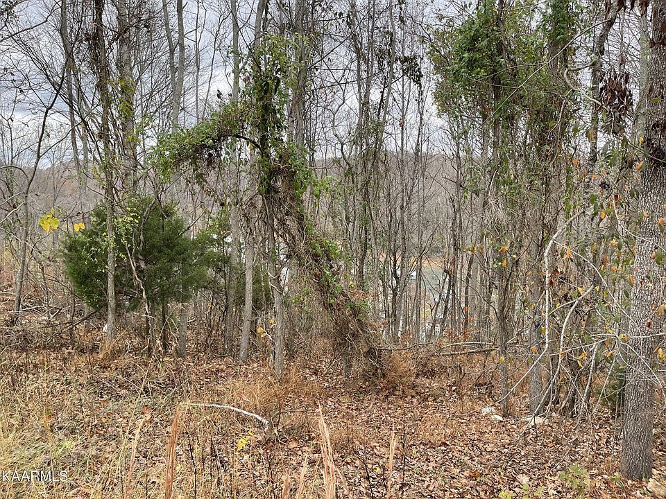 1st image of 0 Norris View Ln Lot 21