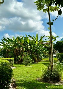 82 Camden #D, West Palm Beach, FL, 33417