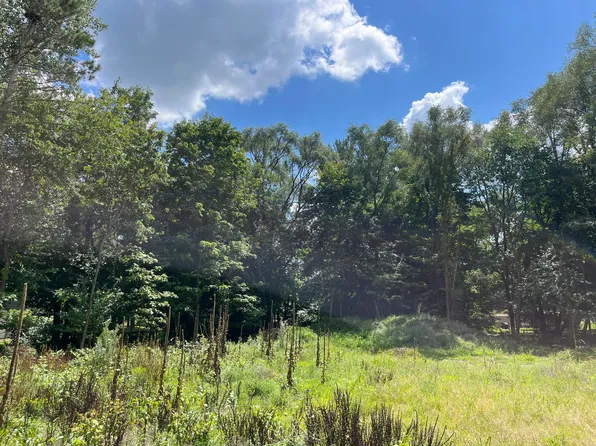 624 Hazen St, Paw Paw, MI 49079