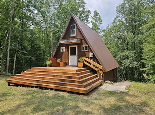 9197 W 64th St, Baldwin, MI 49304