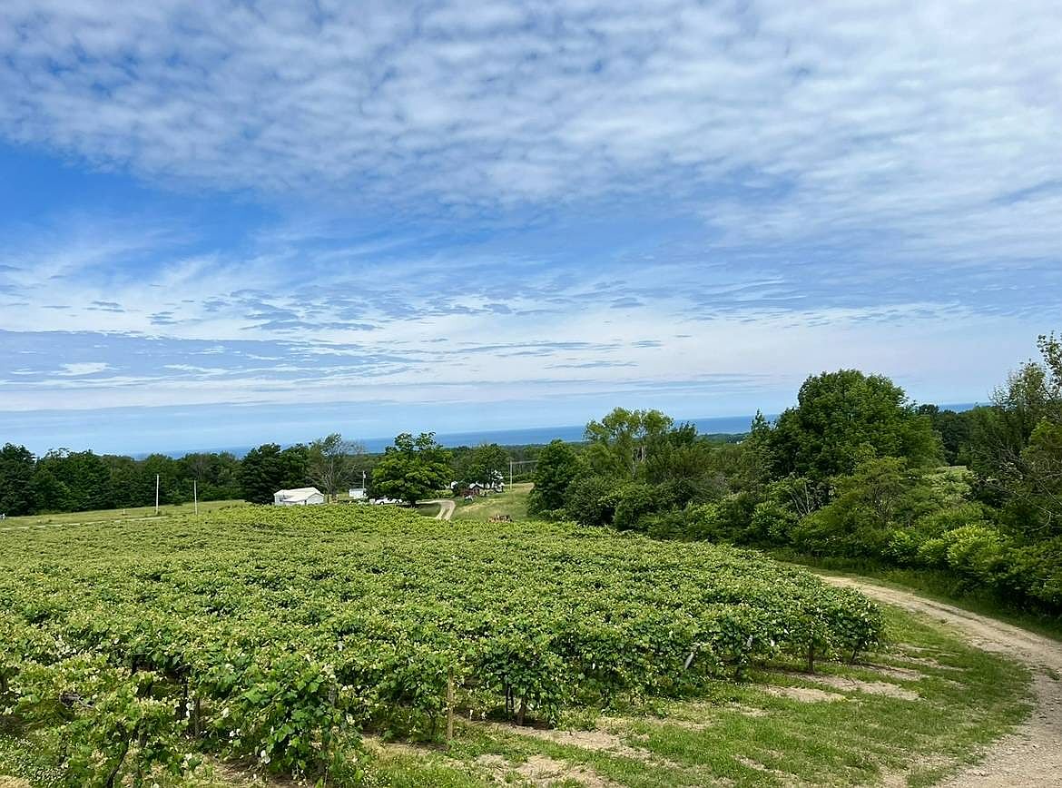 Colt Rd, Brocton, NY 14716 MLS 11090124 Zillow