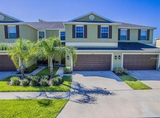 20209 Torch Lilly Way, Tampa, FL 33647