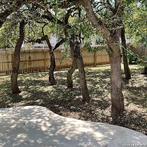 26111 Lookout Fls — Photo 28