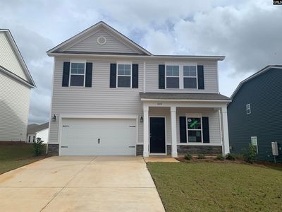 1014 Flat Coat Ln, Chapin, SC, 29036