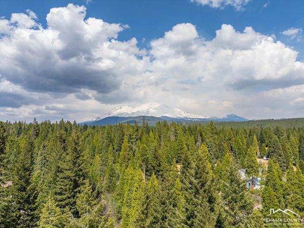 217 Villa Rd, Mount Shasta, CA 96067