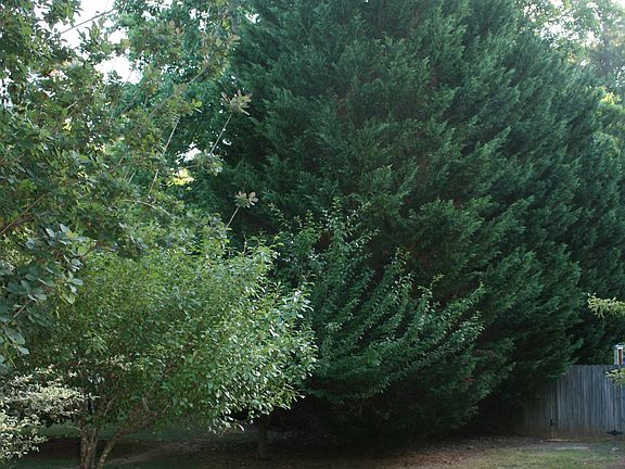 south property line in front