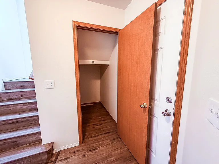 Storage closet under stairs